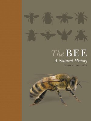 cover image of The Bee